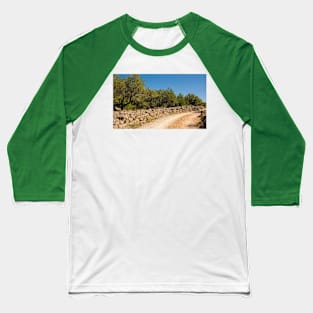 Olive Grove on Krk Island, Croatia Baseball T-Shirt